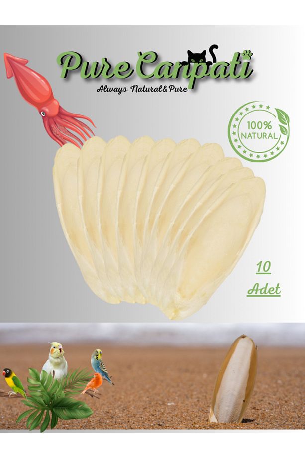 10 Adet Küçük Boy Kalamar Kemiği (7-8cm) Mürekkep Balığı Kemiği Ve Tutacak - 1