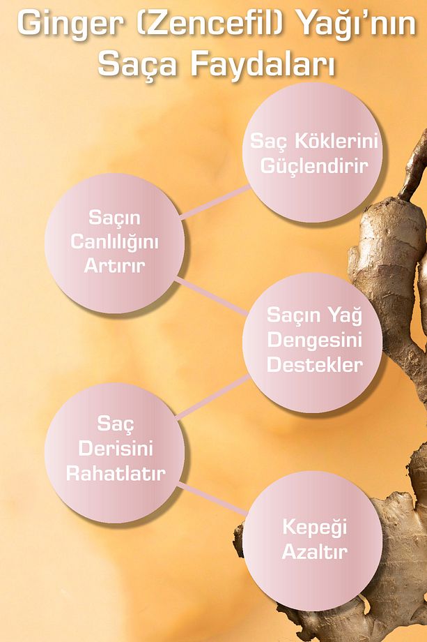 Yıpranmış Saçlar Için Gül Ve Zencefil Yağı Özlü Onarıcı Bitkisel Saç Bakım Şampuanı 400 ml - 4