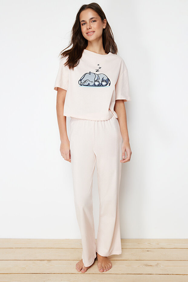 Pudra %100 Pamuklu Fil Baskılı Örme Pijama Takımı THMSS24PT00070 - 3