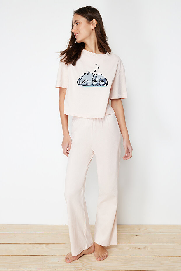 Pudra %100 Pamuklu Fil Baskılı Örme Pijama Takımı THMSS24PT00070 - 2
