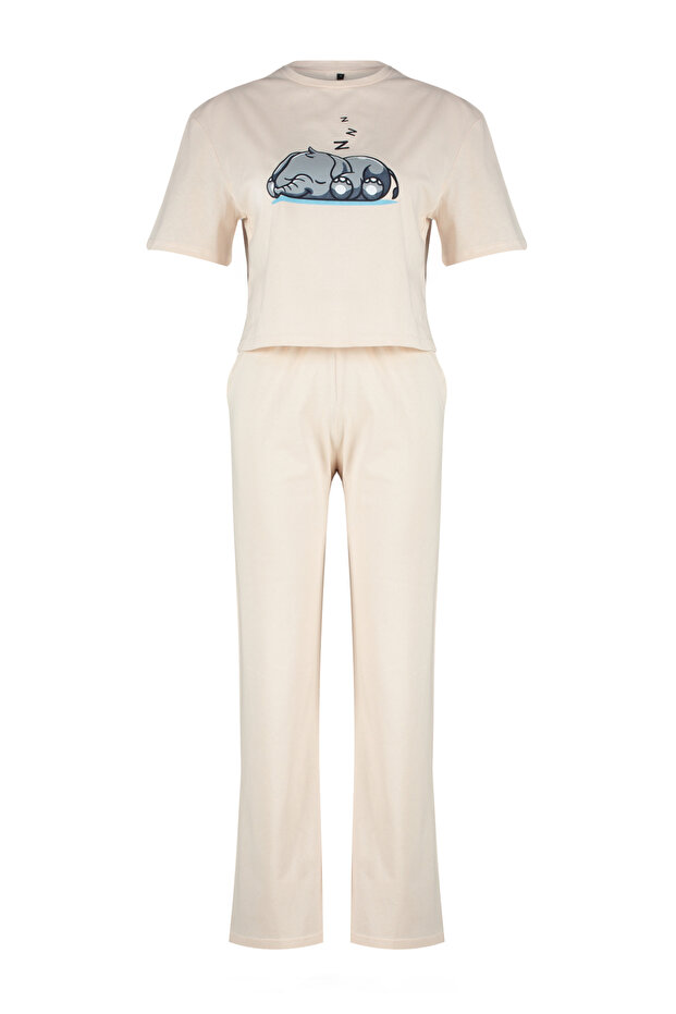 Pudra %100 Pamuklu Fil Baskılı Örme Pijama Takımı THMSS24PT00070 - 7