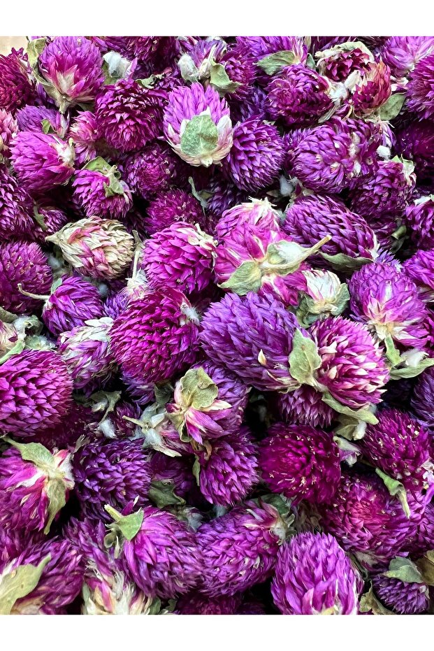 Red Clover - 95Gram Quality - 2