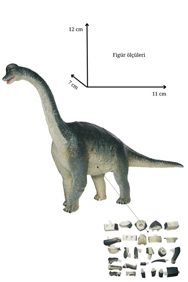 Brachiosaurus 3d Puzzle - 2