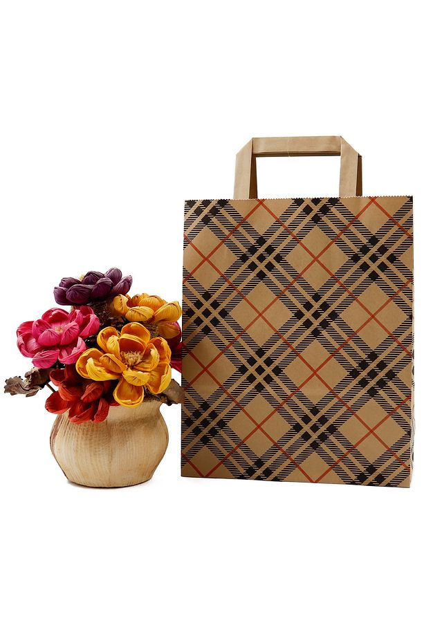 Desenli Doğa Dostu Kağıt Saplı Kraft Çanta 22 X 27,5 X 8 Cm 3 Adet, Hediye Poşeti - 1