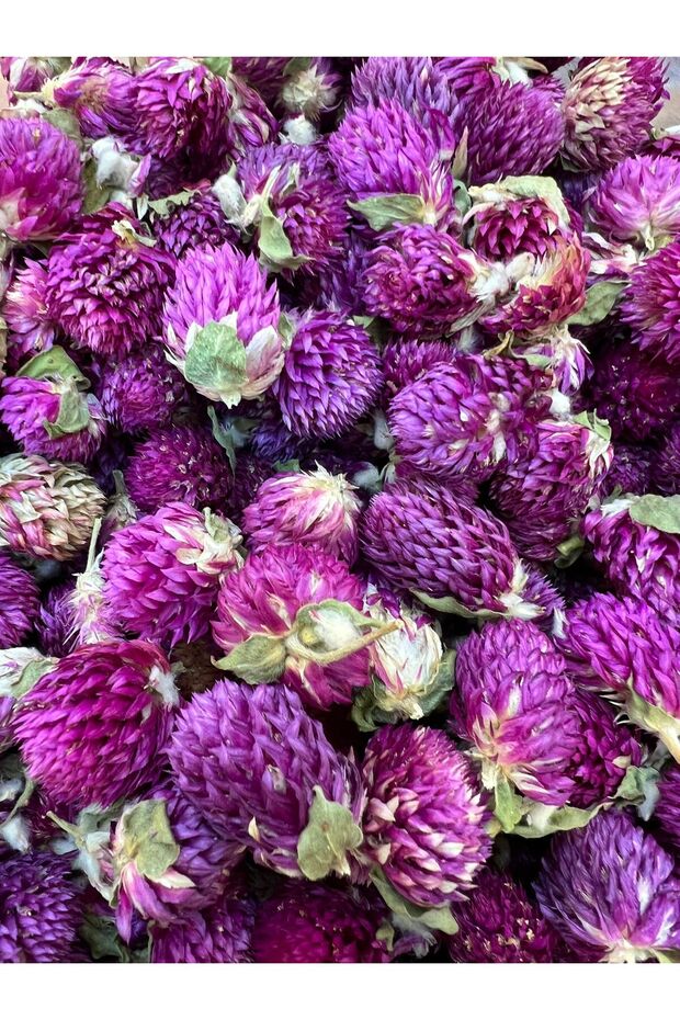 Red Clover - 95Gram Quality - 3