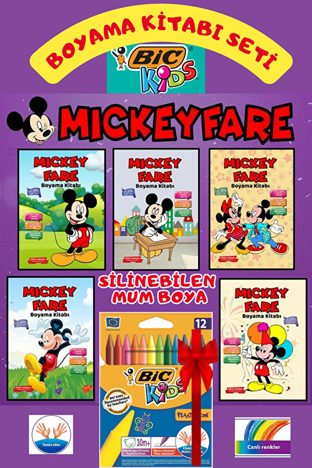 Mickey Mouse Painting 5 Books + Bic Kids Erasable Crayon Set