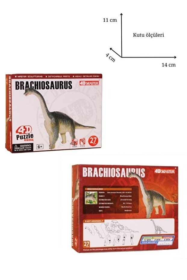 Brachiosaurus 3d Puzzle - 4