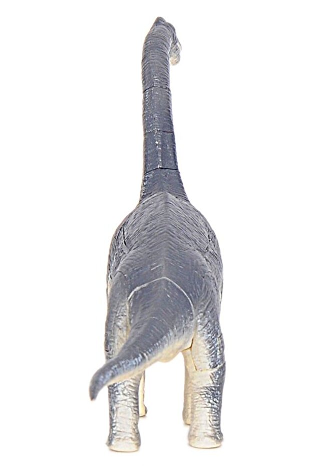 Brachiosaurus 3d Puzzle - 5