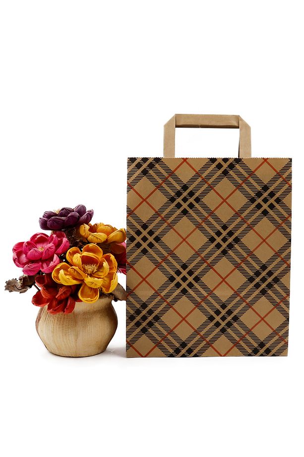 Desenli Doğa Dostu Kağıt Saplı Kraft Çanta 22 X 27,5 X 8 Cm 3 Adet, Hediye Poşeti - 2
