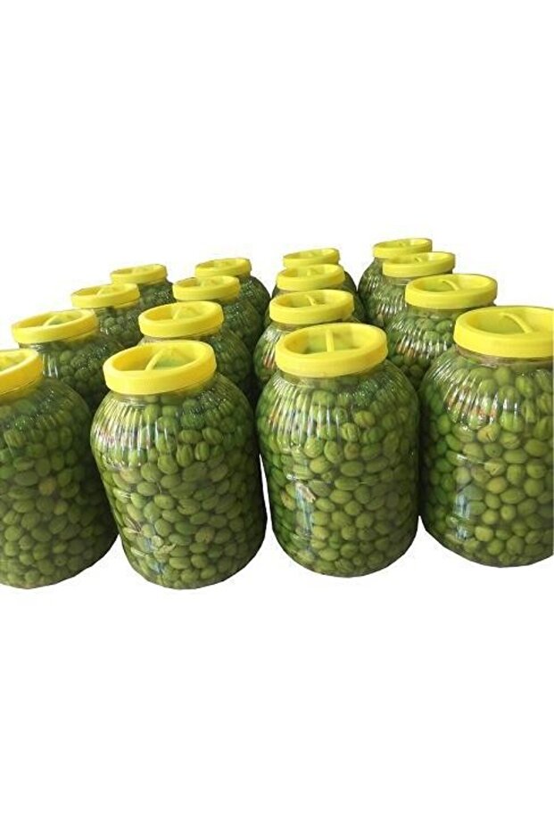 Tatlı yeşil zeytin - 1