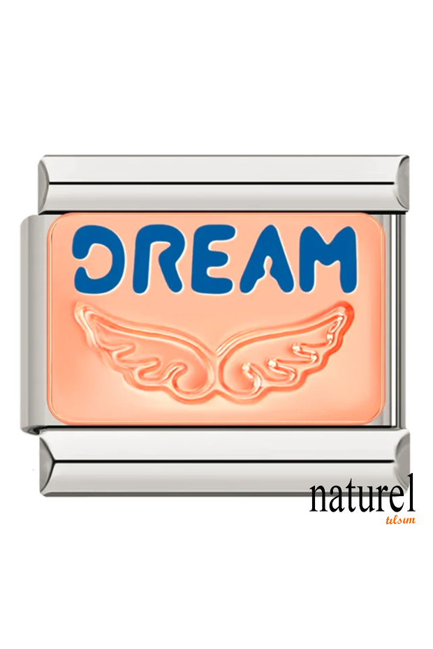 Italian Stainless Steel 9mm Dream Charm