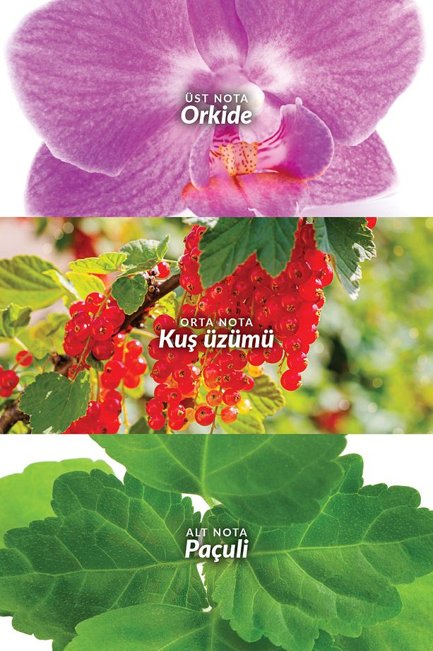 Cherish The Moment Kadın Parfüm Edp 50 Ml. - 3