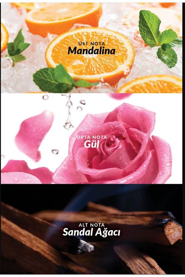 Lov U Connected Kadın Parfüm seti - 5