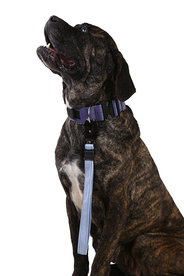 Kısa Taktik Gezdirme Tasması - 4