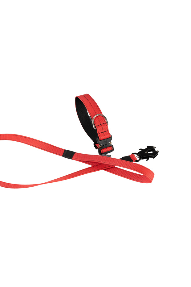 Multi Taktik Eğitim Gezdirme Tasması - 7