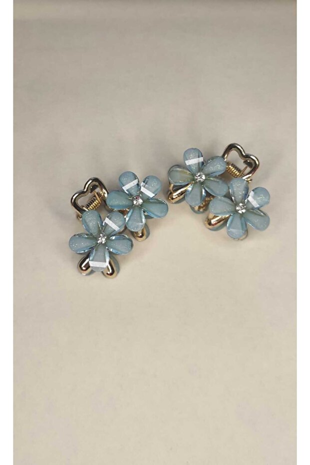 Accessories 2-Piece Crystal Flower Peg Hair Clip