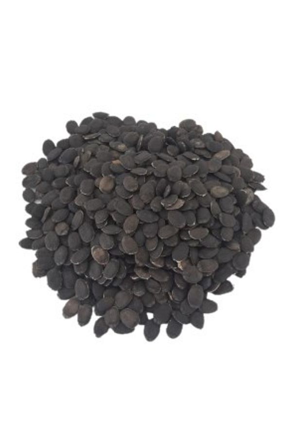 Lif Kabağı Tohumu (10 Adet Tohum) - 2