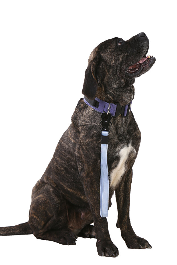 Kısa Taktik Gezdirme Tasması - 3