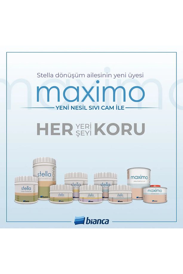 Maximo Sıvı Cam İpek Mat  500 gr (çift kompenant) - 1