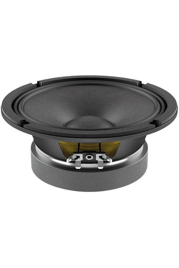 Wsf061.52 Woofer