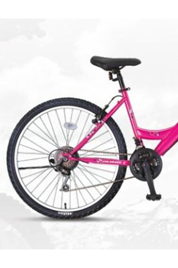 2400 Colorado 24 Jant L-14-MTB-V21-SRN Bisiklet - 3