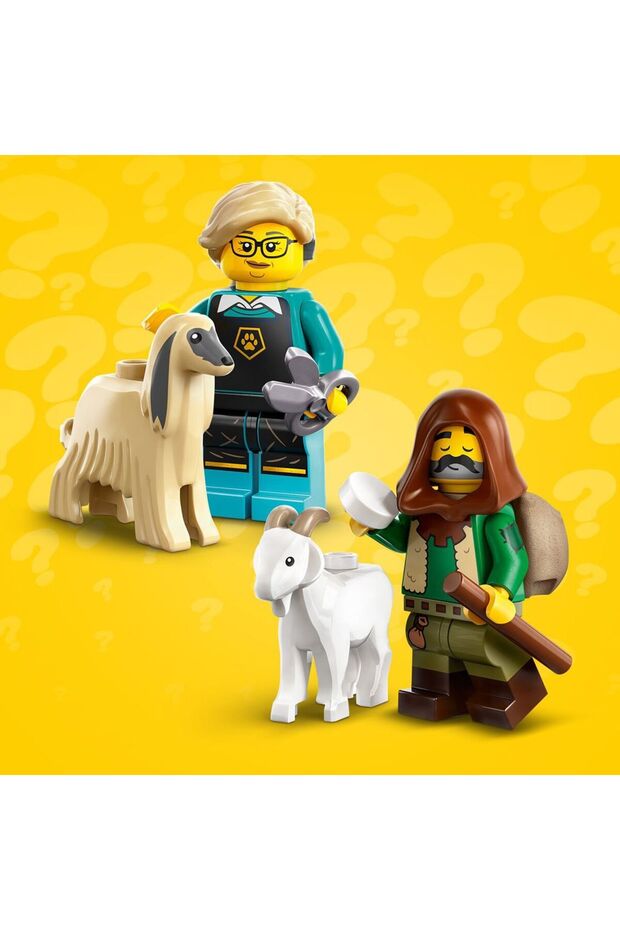 Mini Figür Seri 25 71045 - 7