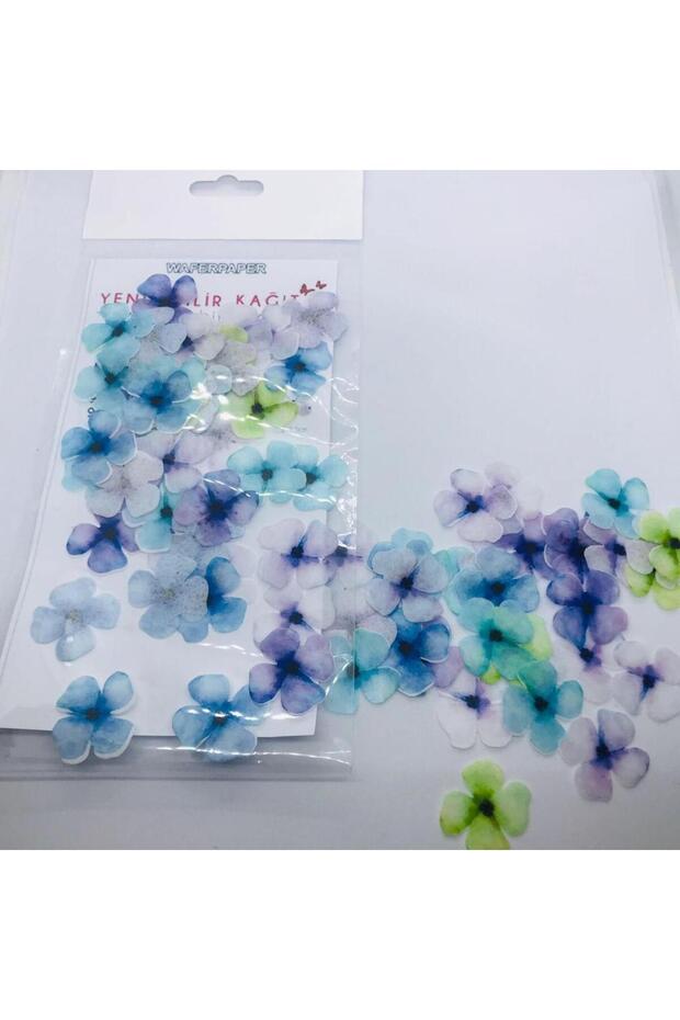 Clover Flower Illustrated Edible Cake Cookie Ornament