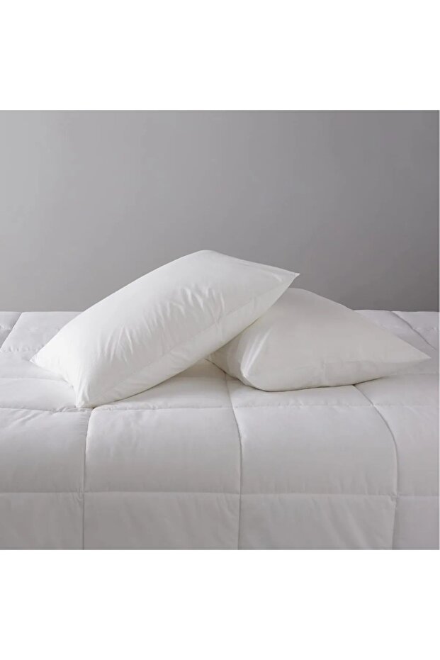 LUX 2-Piece FILLED SILICONE PILLOW