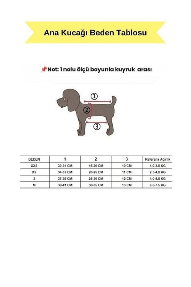 C&P Ana Kucağı - 2