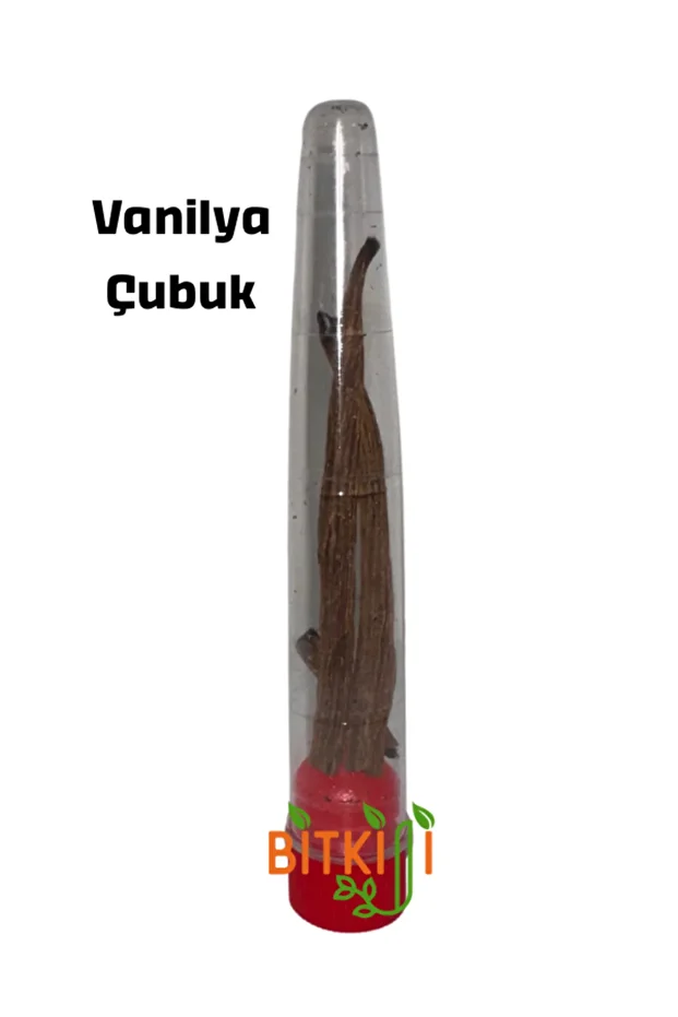 Çubuk Vanilya - 1