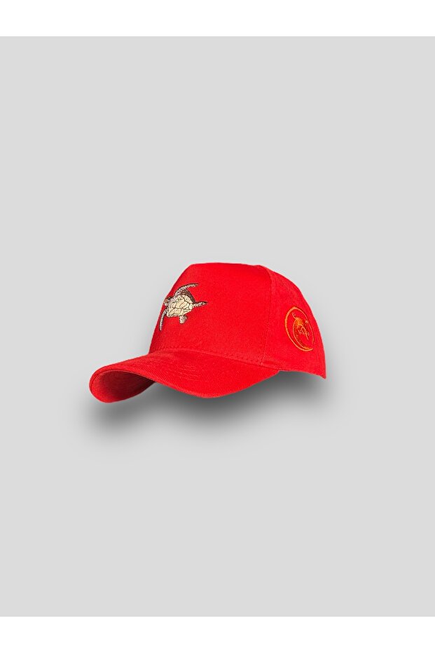 Turtle Hat - 1