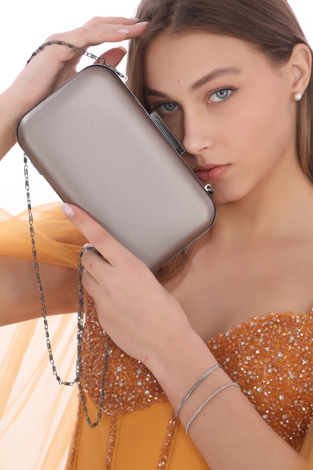 Platinum Color Fabric Evening Dress Portfolio Clutch Women Bag Handheld And Long Strap Use