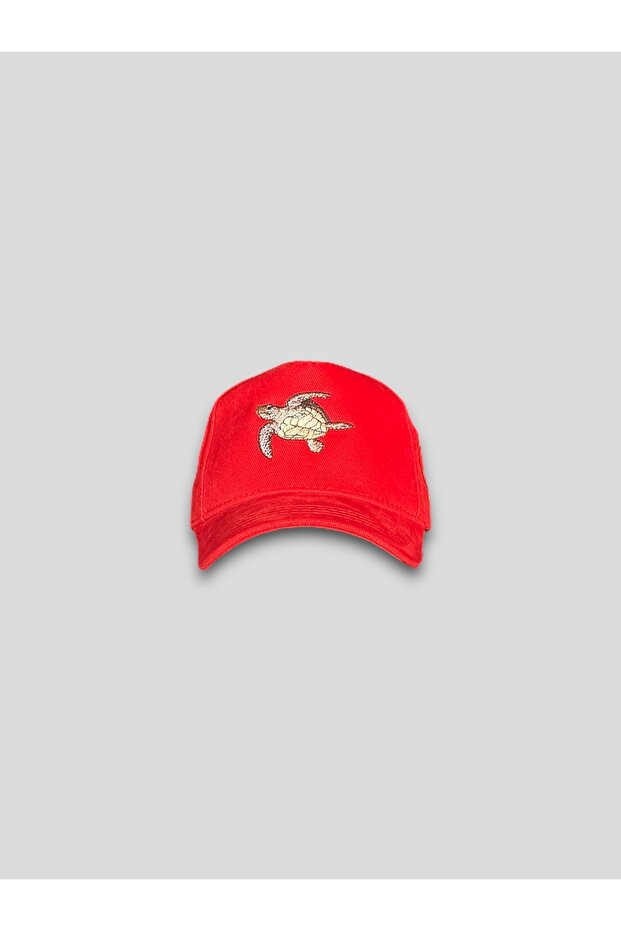 Turtle Hat - 2