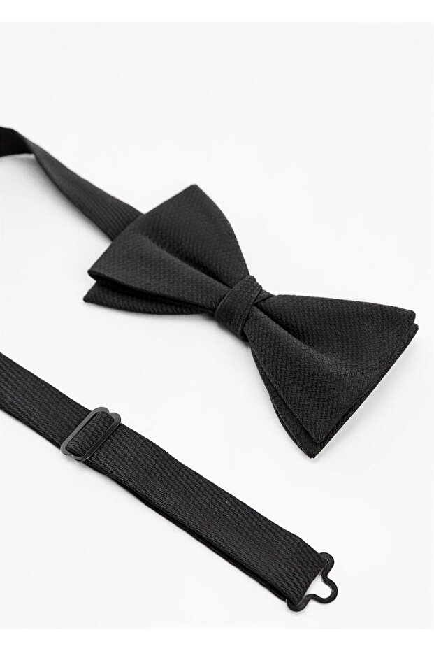 Klassische Fliege - 1