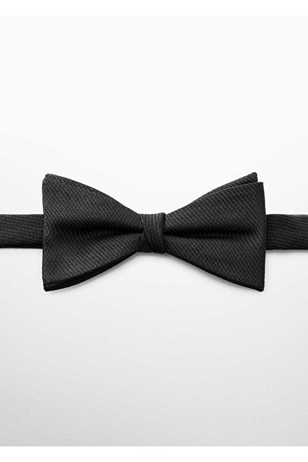 Klassische Fliege - 2