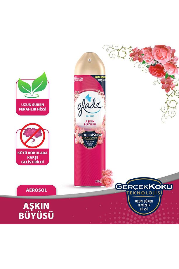 Hava Tazeleyici Aerosol, Oda Kokusu, Aşkın Büyüsü, 300ml - 1