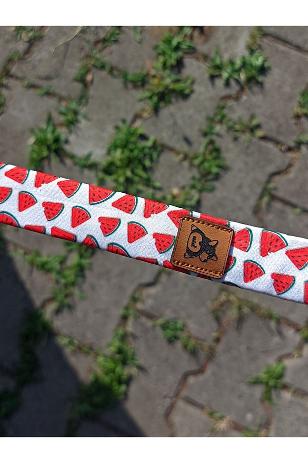 Ladybug Köpek Göğüs Tasması ve Gezdirme Sevk Kayış Seti - 5