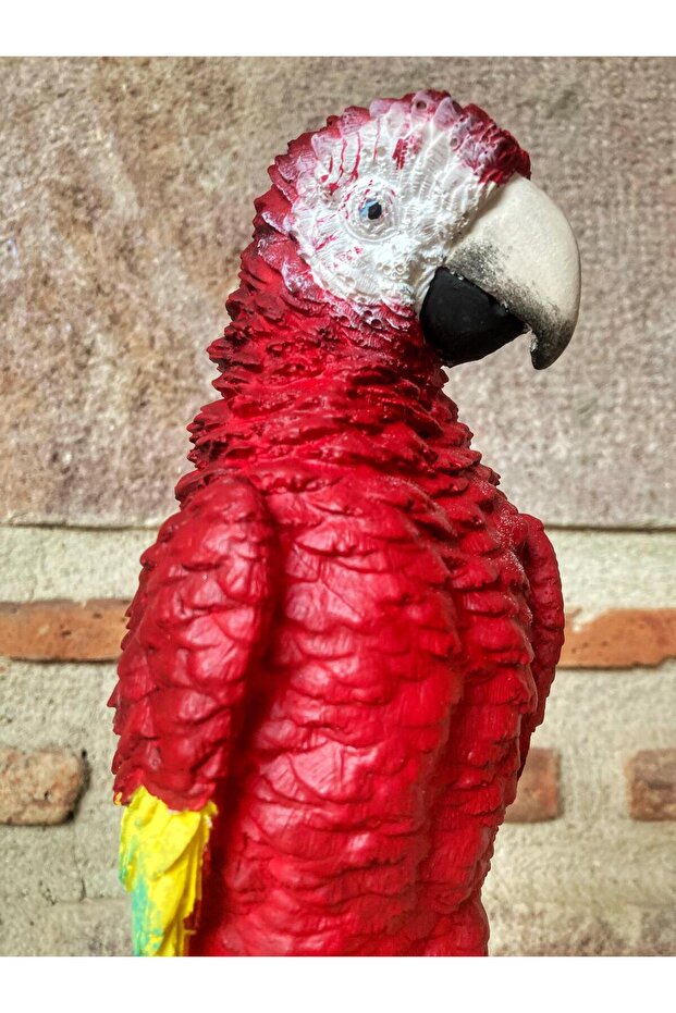 Papağan Macaw - 3