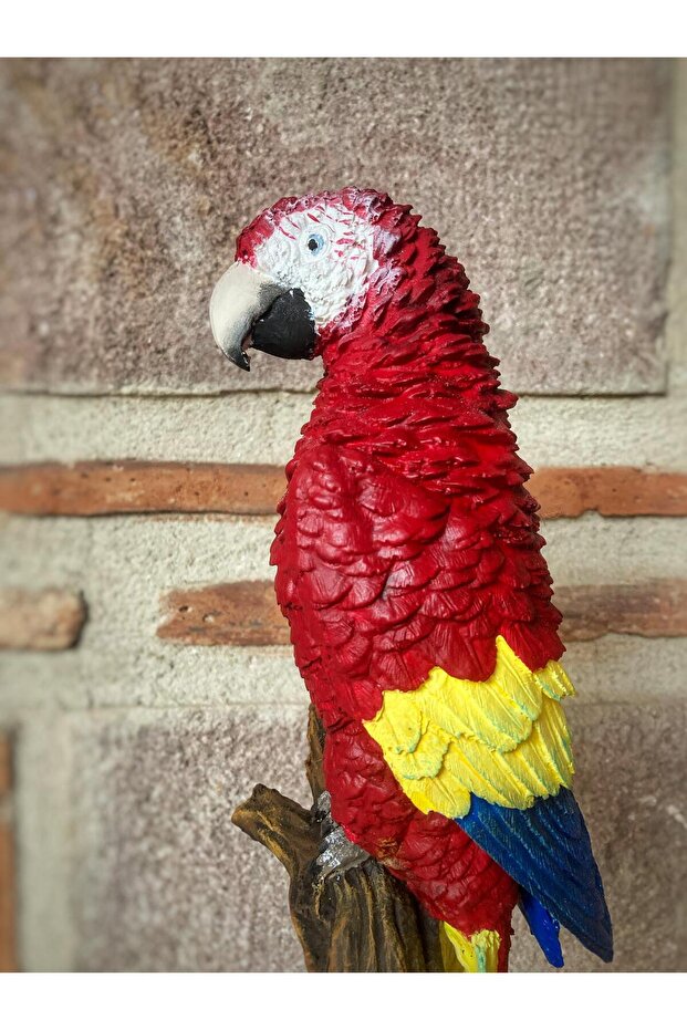 Papağan Macaw - 4