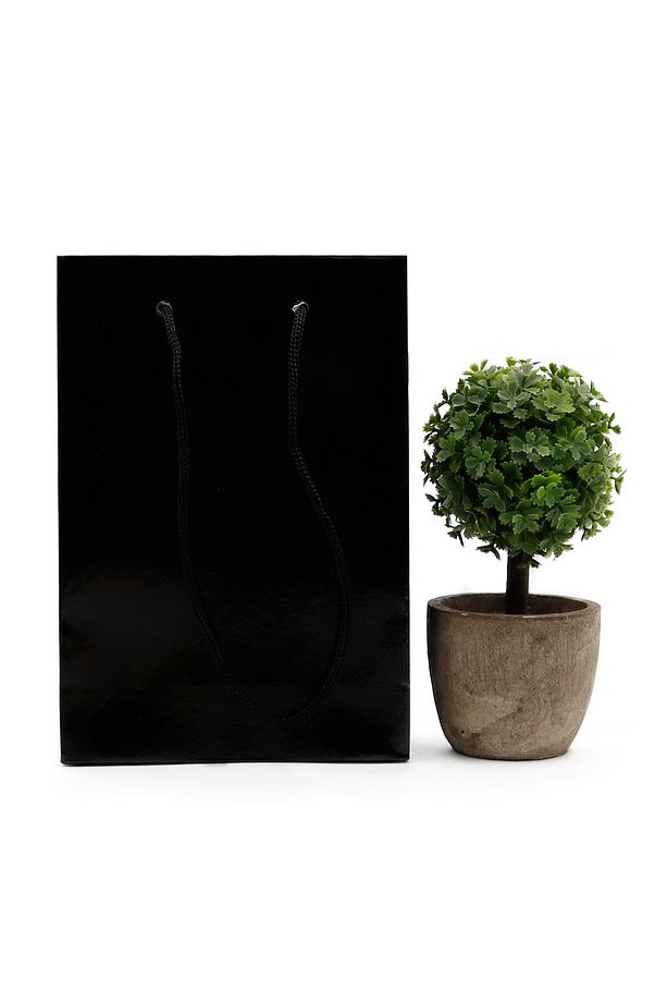 Siyah Premium Karton Çanta 12 X 17 X 5 cm 2 Adet Hediye Poşeti - 2