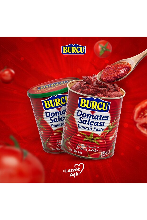 Domates Salçası 830 gr - 2