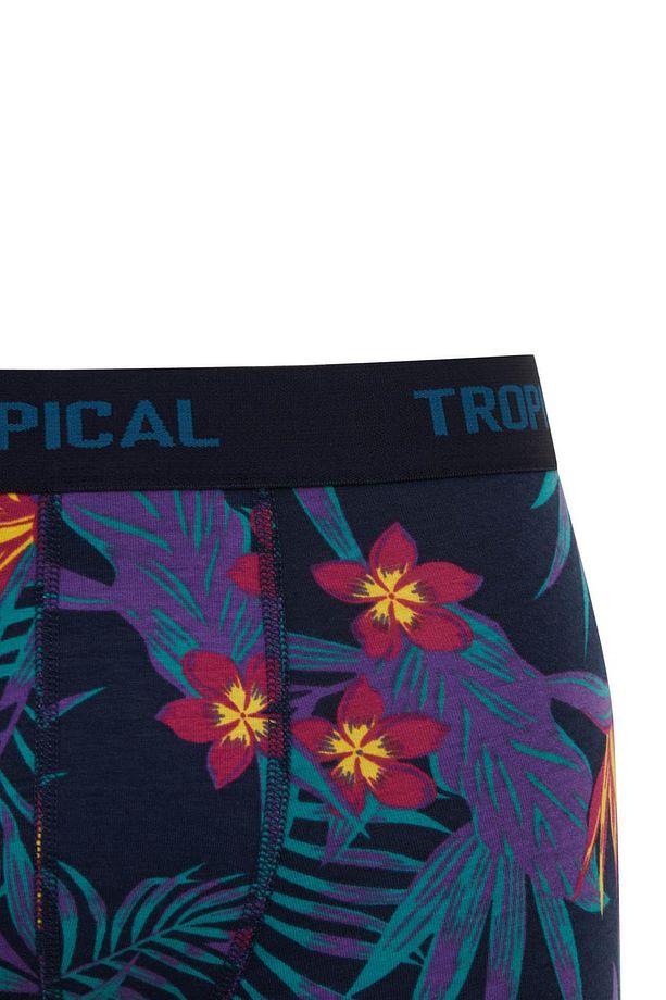 Regular Fit 3'lü Boxer B7961ax24sm - 4