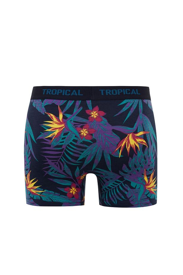 Regular Fit 3'lü Boxer B7961ax24sm - 3