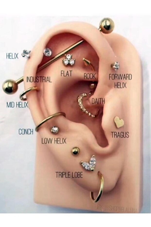 Model Silikon Kulak - 2