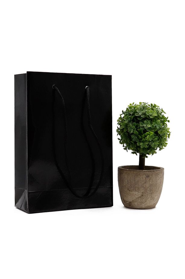 Siyah Premium Karton Çanta 12 X 17 X 5 cm 2 Adet Hediye Poşeti - 1