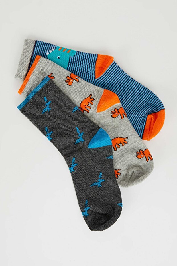 Erkek Çocuk 3'lü Pamuklu Uzun Çorap Y2882a6ns - 5