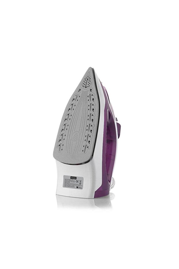 Glatt Eco Mor Buharlı Ütü - 2