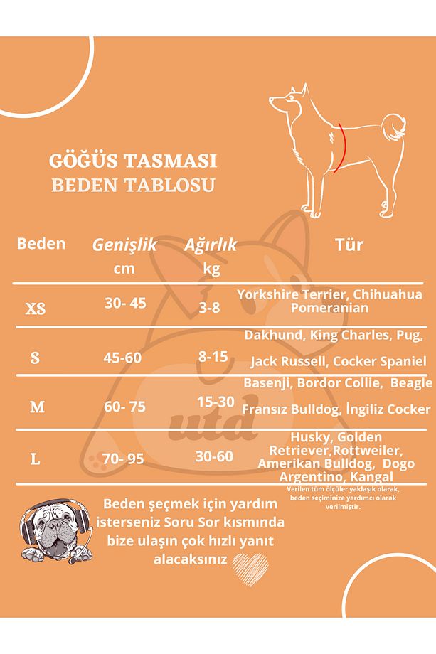 Toco Köpek Göğüs Tasması ve Gezdirme Sevk Kayış Seti - 5