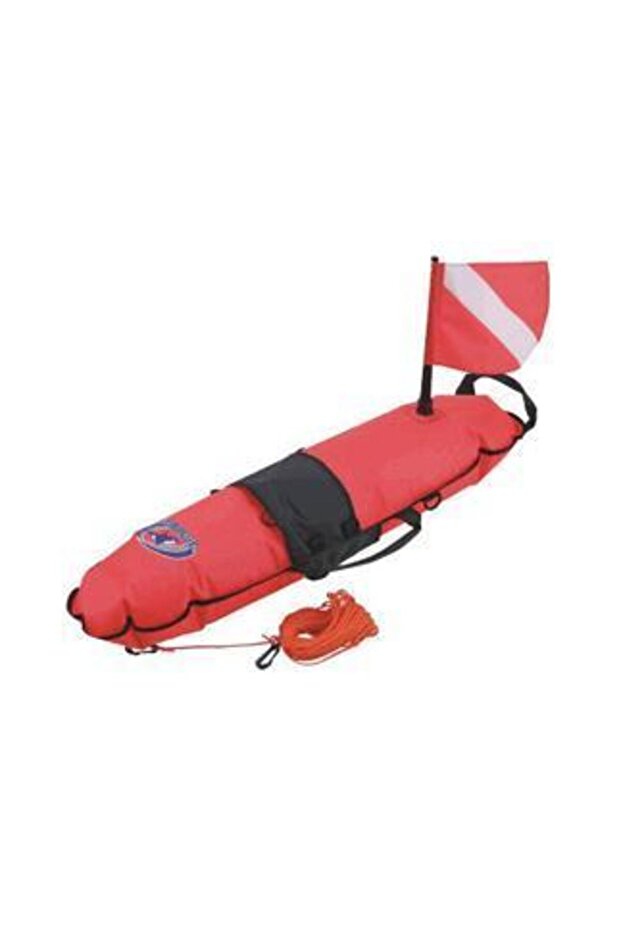 Dalıs Samandırası - 4