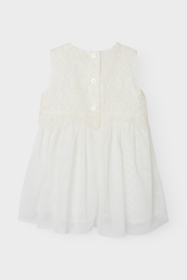 NBFNIKOL SPENCER D - 5